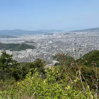 帰りの朝鮮岩からの眺望。真ん中左寄りちょっと白くみえるのが富士山🗻みたいです。