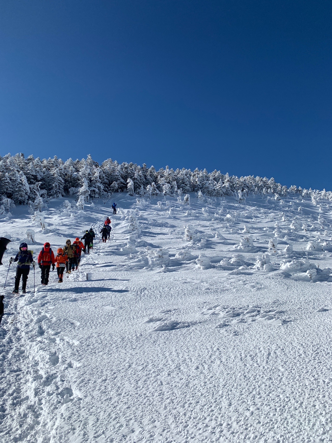 八ヶ岳 根石岳 1泊2日 初めての雪山ツアー モンベル ラララさんの八ヶ岳 赤岳 硫黄岳 天狗岳 の活動データ Yamap ヤマップ