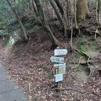 ヤケギ谷ﾙｰﾄの登山口です
ここから林道歩きとなります
ここまで無事に下山できたことに感謝です！