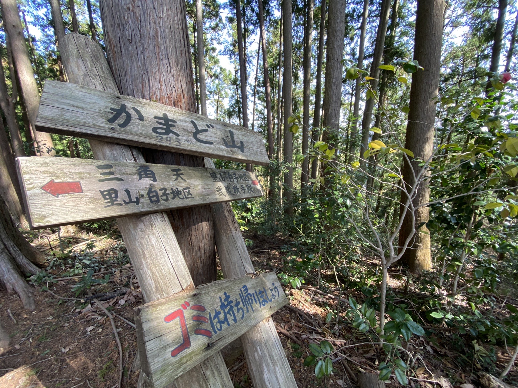 飯能アルプス縦走 天覧山 天覚山 大高山 あちさんの天覧山 多峯主山 天覚山の活動データ Yamap ヤマップ