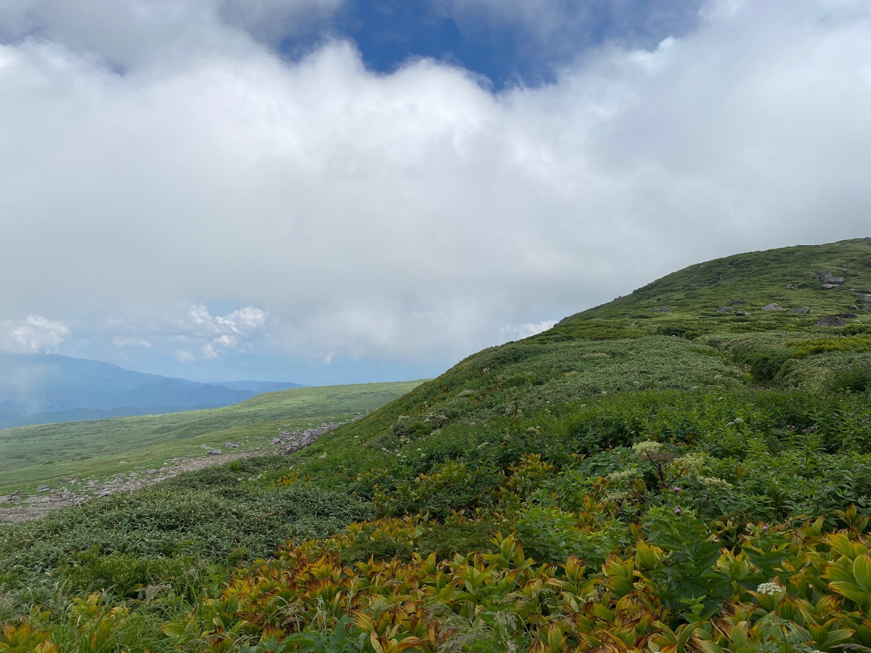 月山 がっさーん 立て ジョー 遊びでねぇんだ 08 13 Goofyさんの月山の活動データ Yamap ヤマップ