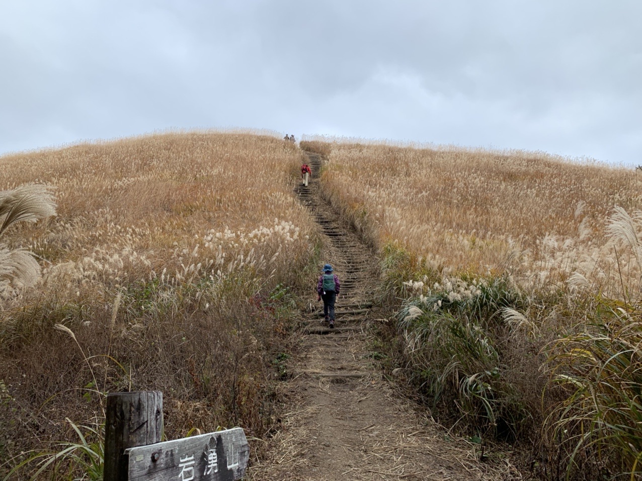 岩湧山 21 12 5 いーぐるさんの岩湧山 一徳防山 三石山の活動データ Yamap ヤマップ