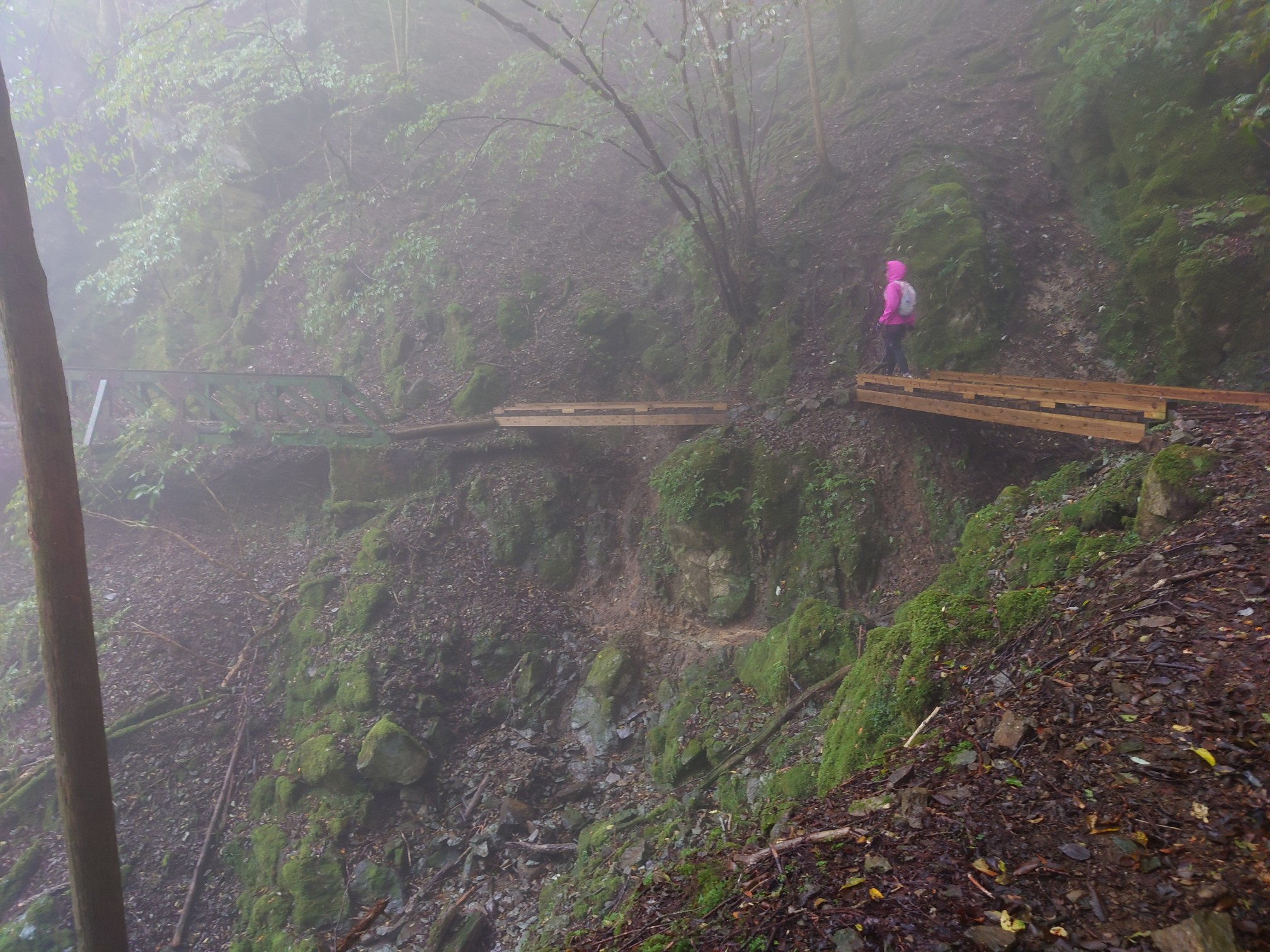 伊豆山稜線歩道 完結 仁科峠 天城峠 千明さんの棚場山 魂の山 猫越岳の活動データ Yamap ヤマップ