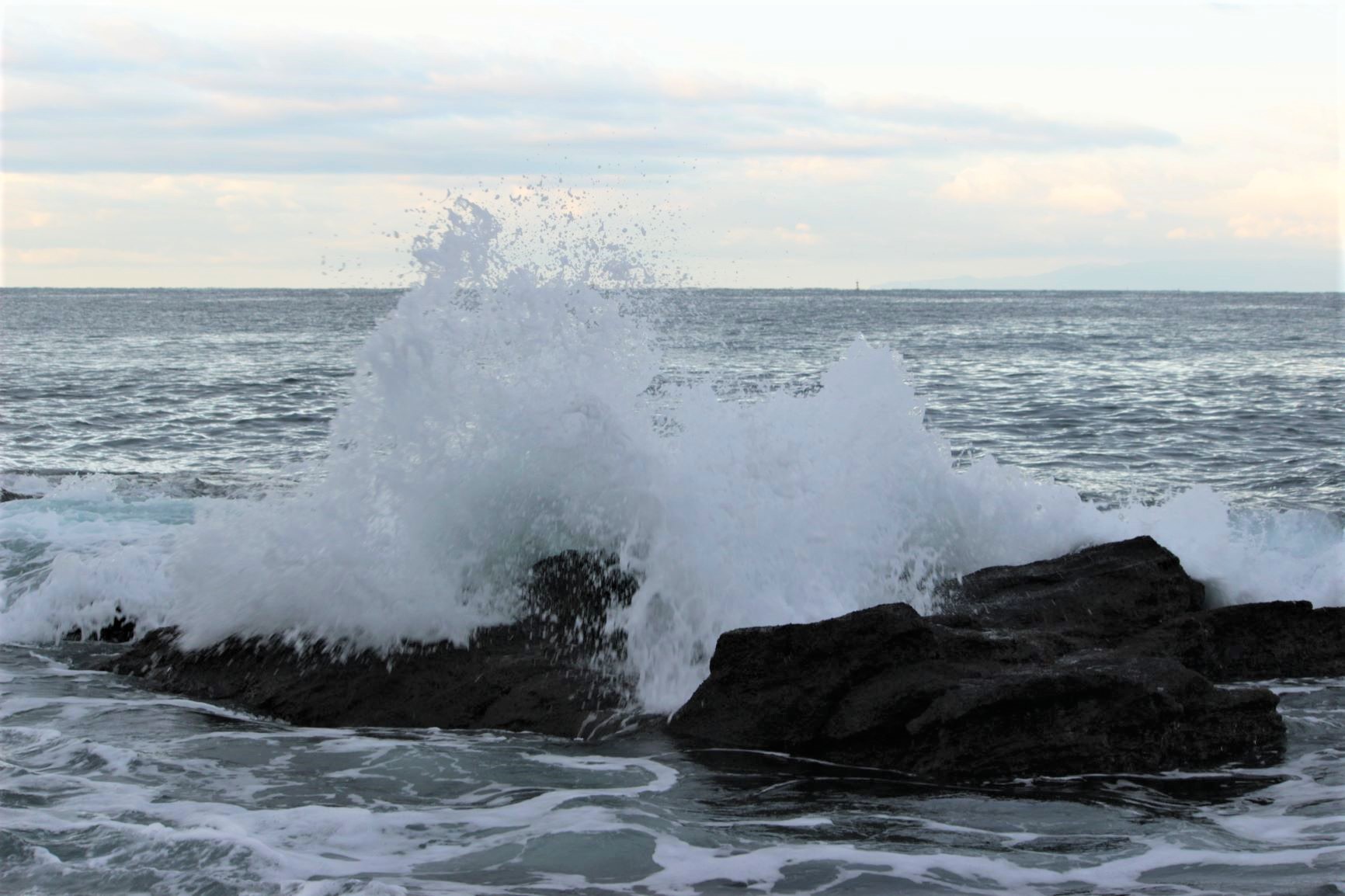 三浦で春うらら 山へ海へと歩き味わう 三浦アルプス 黒崎の鼻 三浦富士 いっちーさんの鷹取山 横須賀市 逗子市 の活動データ Yamap ヤマップ