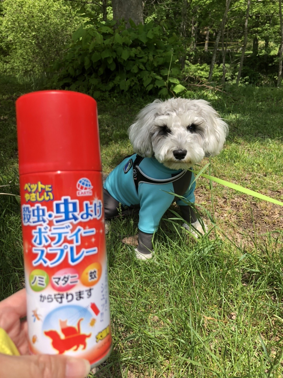 白旗山 With犬 亀さえさんの白旗山 札幌市 の活動データ Yamap ヤマップ