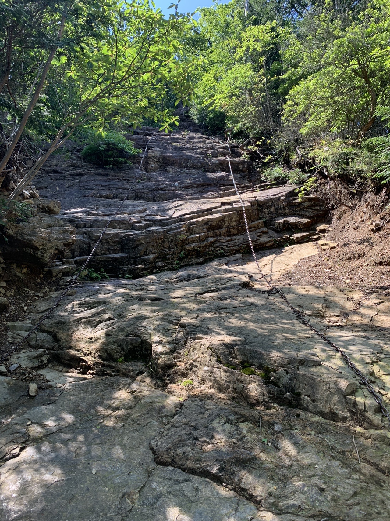 伊豆ヶ岳 旧正丸峠 西吾野駅縦走 06 Haya470さんの武甲山 伊豆ヶ岳 小持山の活動データ Yamap ヤマップ