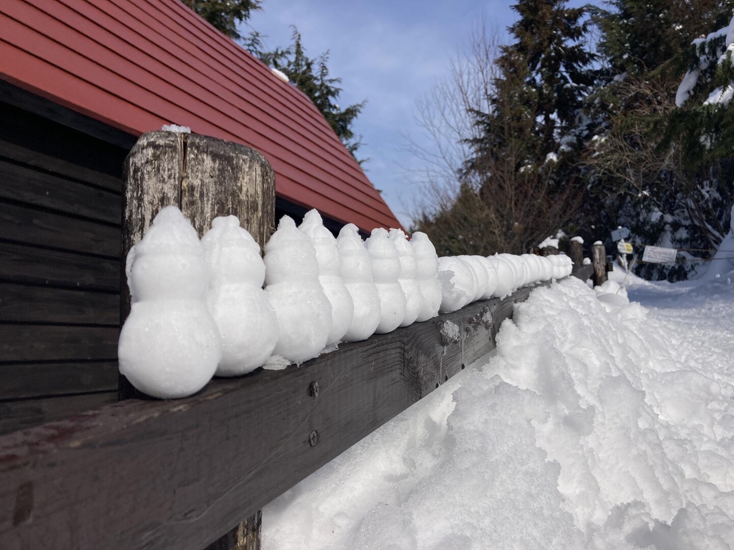 綿向山 / 原始人さんの綿向山の活動データ YAMAP / ヤマップ