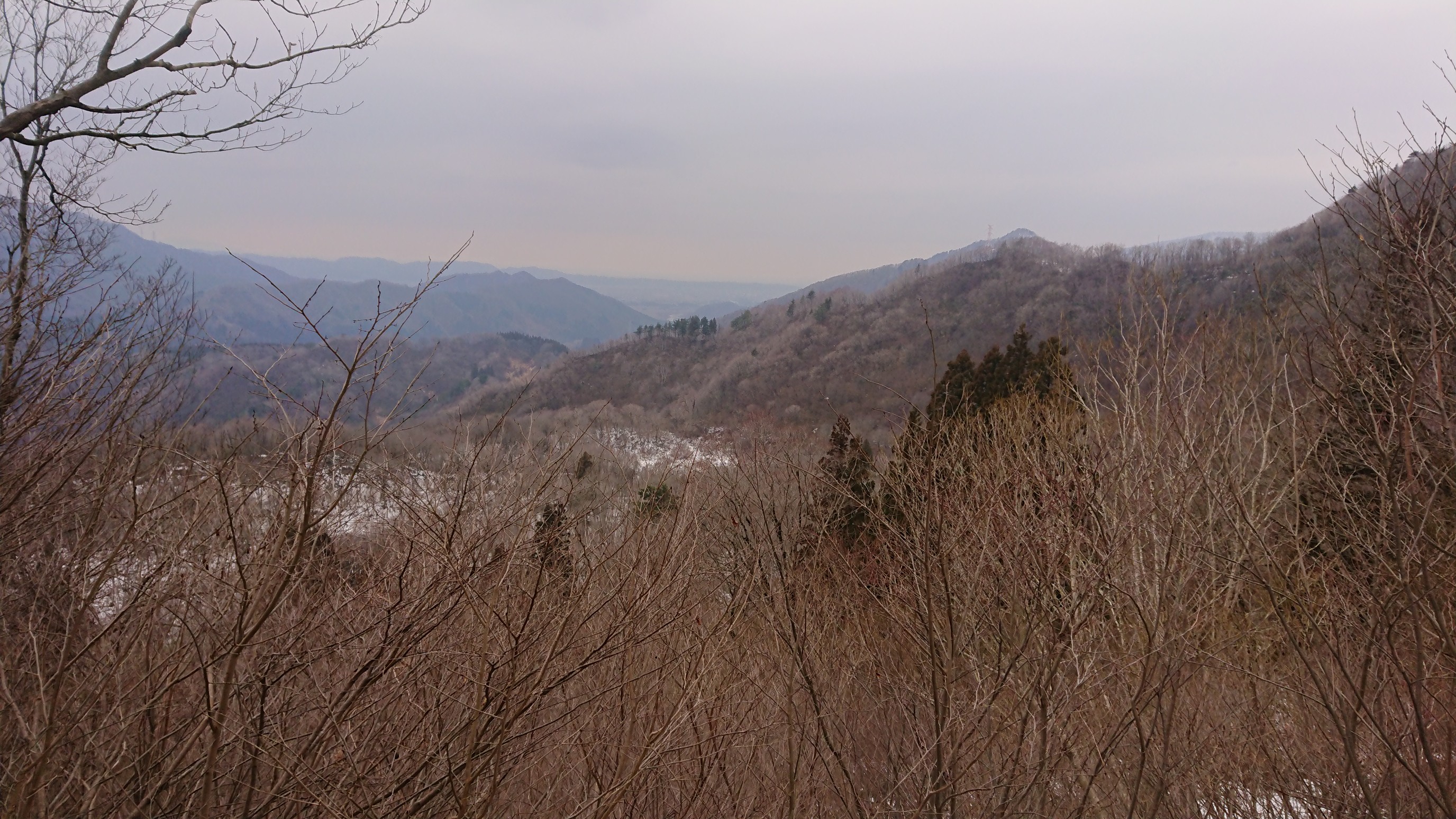 木六山・銀次郎山 雪の見える辺りが水無平
ど真ん中奥の杉林が佛峠
