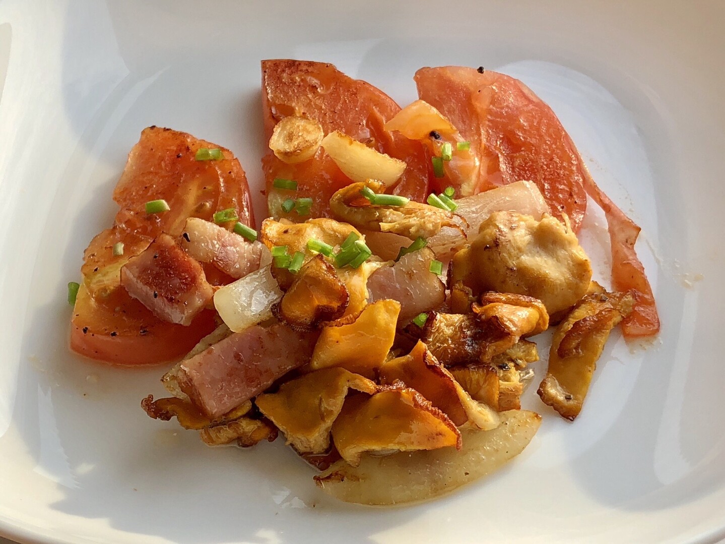 触るな危険カエンタケ 長浦岳の写真48枚目 帰宅後 1時間ほど水にさらしたアンズタ Yamap ヤマップ