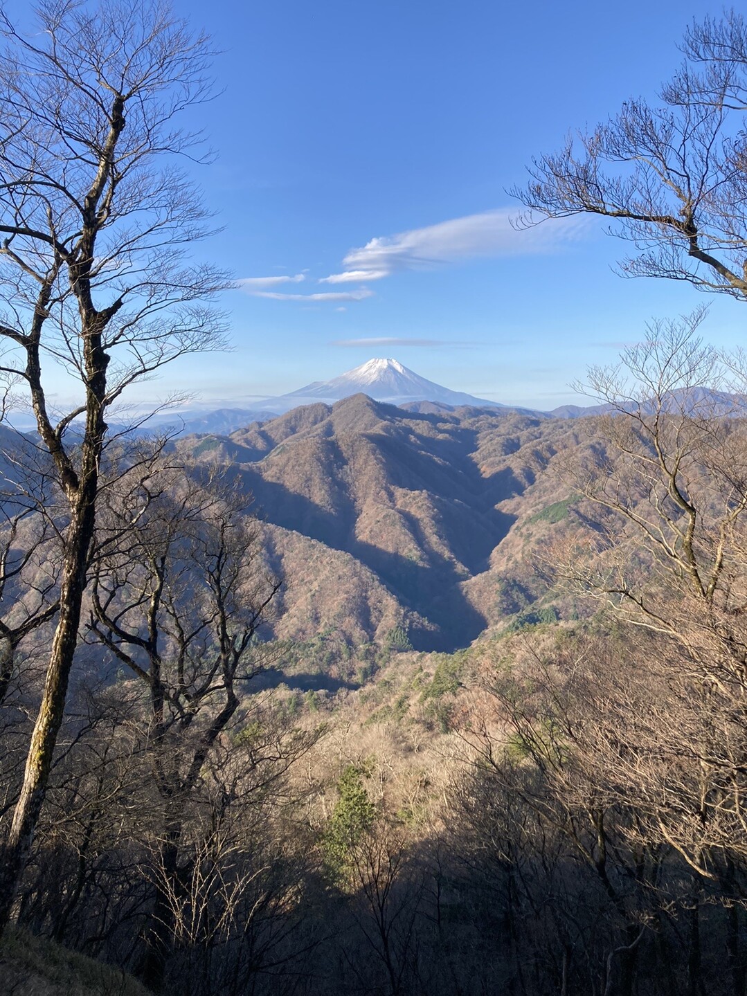 犬越路避難小屋泊 西丹沢周回コース Fukikoさんの大室山 丹沢 畦ヶ丸山 菰釣山の活動データ Yamap ヤマップ