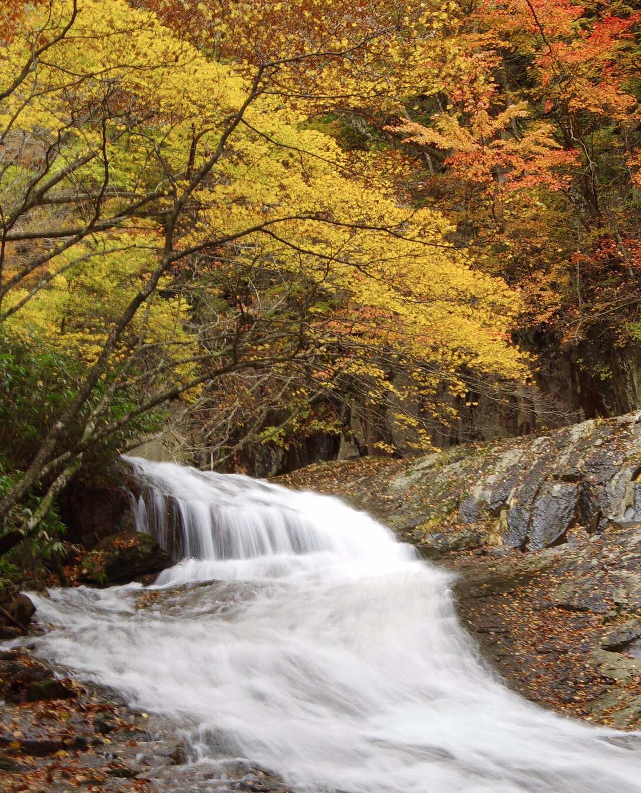 あだたら渓谷奥岳自然遊歩道 しんさんの安達太良山 箕輪山 鬼面山の活動データ Yamap ヤマップ