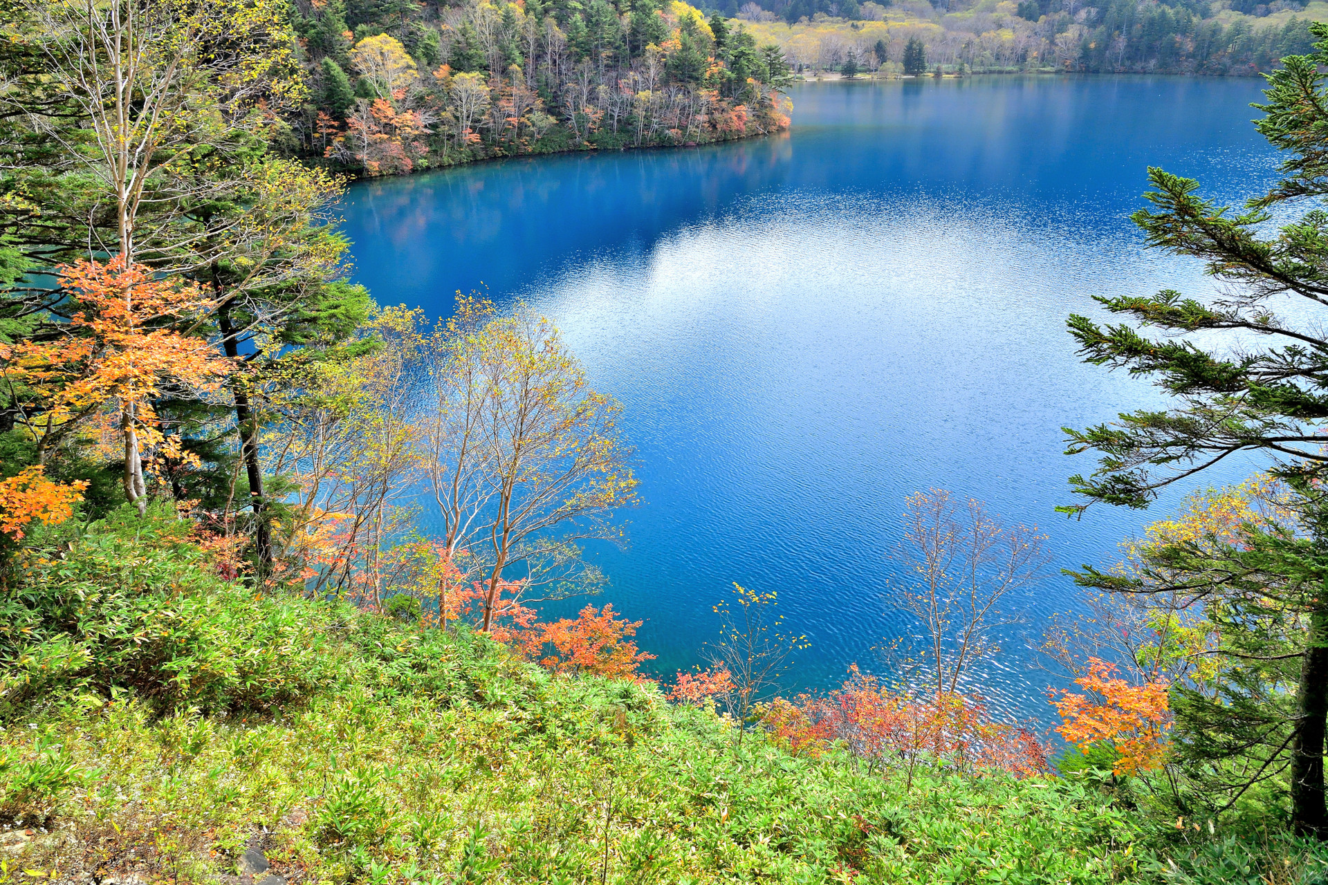 志賀高原 紅葉期の池めぐり Kazutoさんの焼額山の活動データ Yamap ヤマップ