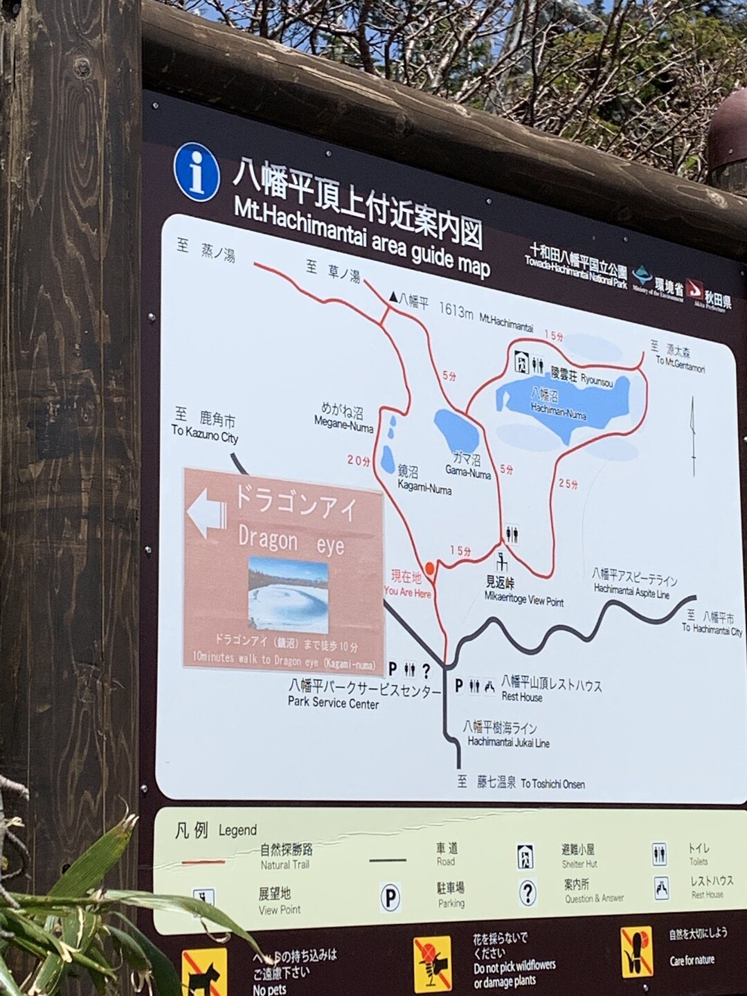 八幡平ピークハントツアー Part 2 ドラゴンアイ ドラゴンツリー 八幡平 源太森 みほさんの八幡平 源太森 安比岳の活動日記 Yamap ヤマップ