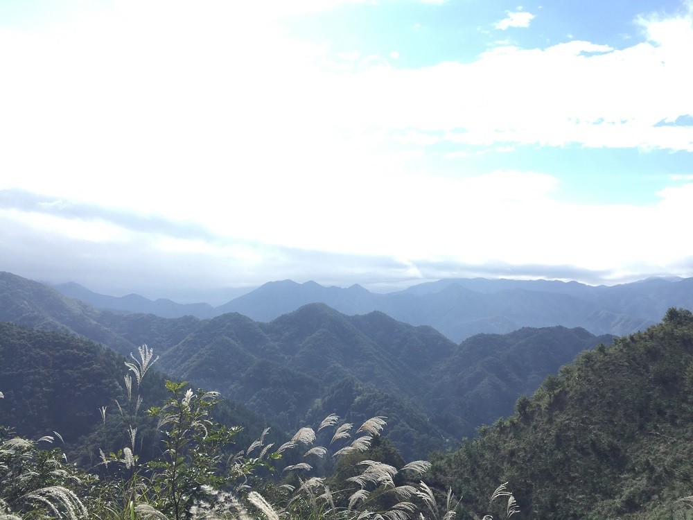 やっと行けた 甲州高尾山 のりのり さんの大菩薩嶺 鶏冠山 大マテイ山の活動日記 Yamap ヤマップ