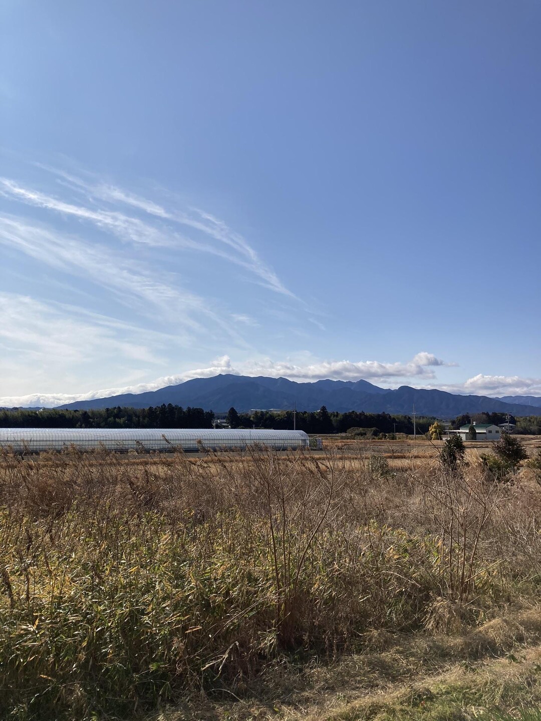 宮山 (津市高野尾町) / 石やんさんの経ヶ峰の活動データ YAMAP / ヤマップ