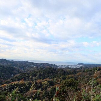 遠くに鎌倉市街