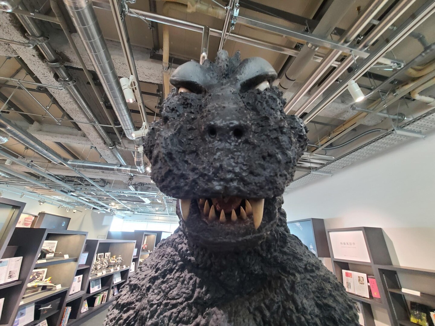 須賀川市の円谷英二ミュージアム 花花さんのウォーキングの活動データ Yamap ヤマップ