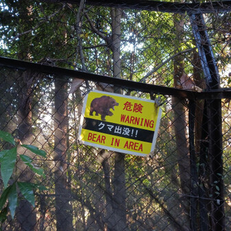 クマでなくてよかった