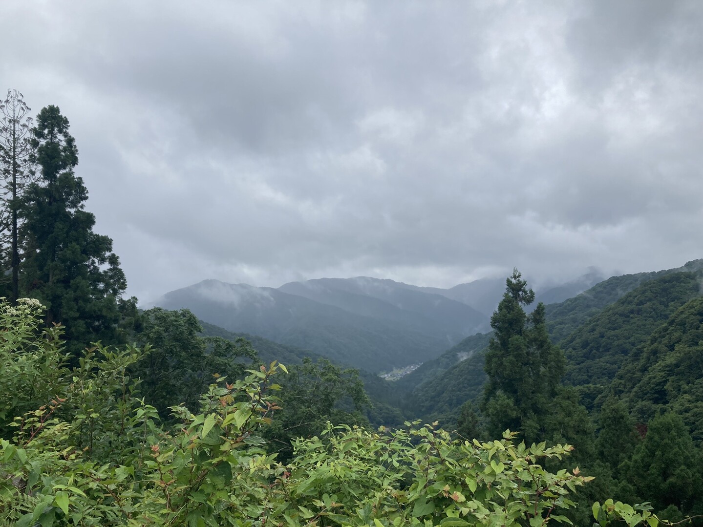 横山岳・七七頭ヶ岳(七々頭ヶ岳) / めだかの大将さんの横山岳・墓谷山の活動データ YAMAP / ヤマップ