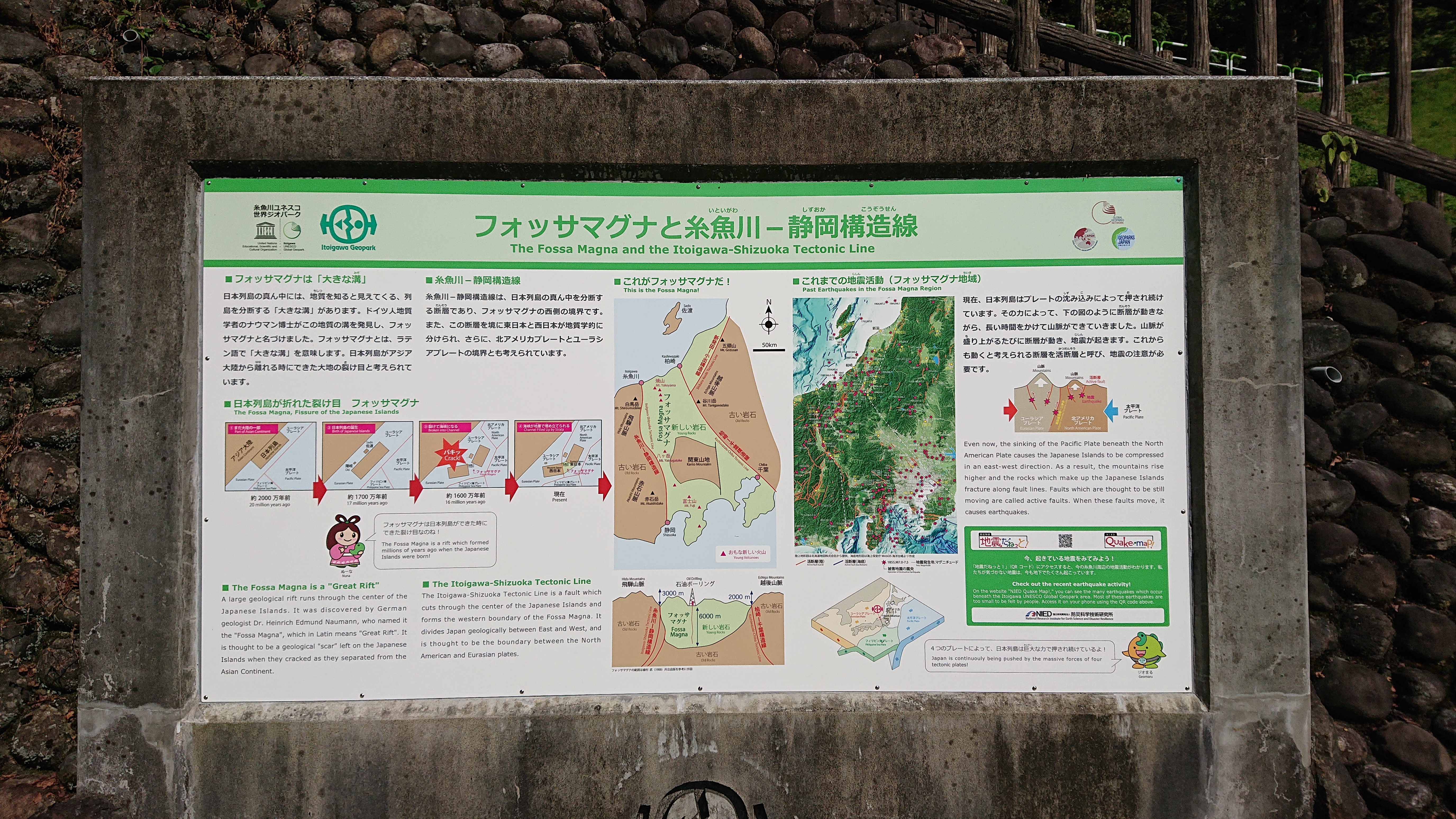 フォッサマグナパーク どんぐりおさんの観光の活動日記 Yamap ヤマップ