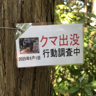 意外と最近ですね。それにしてもよく撮れてる。