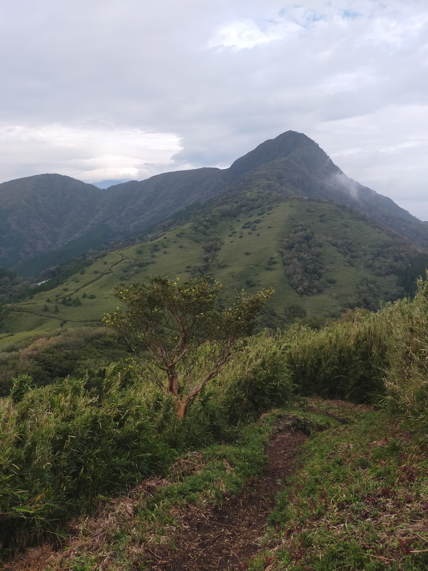 箱根外輪山一周 3 4ショートコース Ken Mさんの箱根山 神山の活動データ Yamap ヤマップ