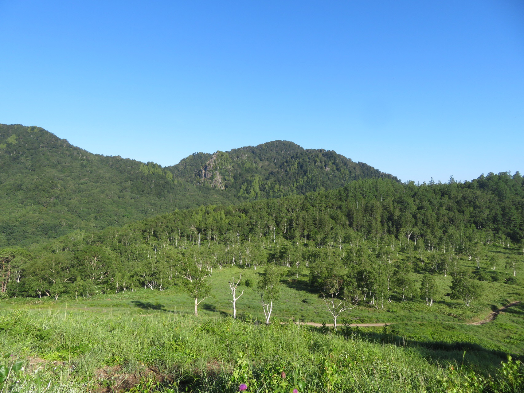 志賀高原 田ノ原湿原 19 08 06 Chihiroさんの横手山 志賀山 赤石山の活動日記 Yamap ヤマップ