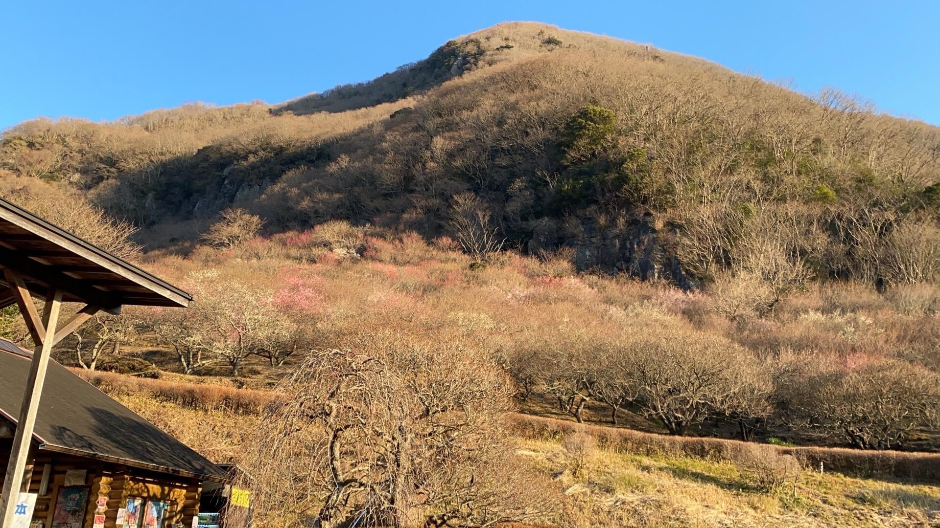 幕山・南郷山 / ライフさんの幕山・南郷山の活動データ YAMAP / ヤマップ