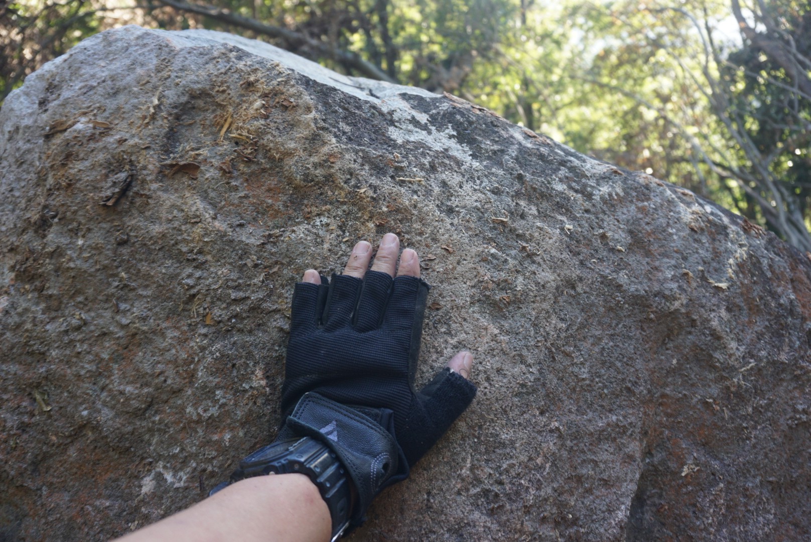 鹿嵐山 あの有名な落ちそうで落ちない岩がない ユキユミさんの鹿嵐山の活動日記 Yamap ヤマップ