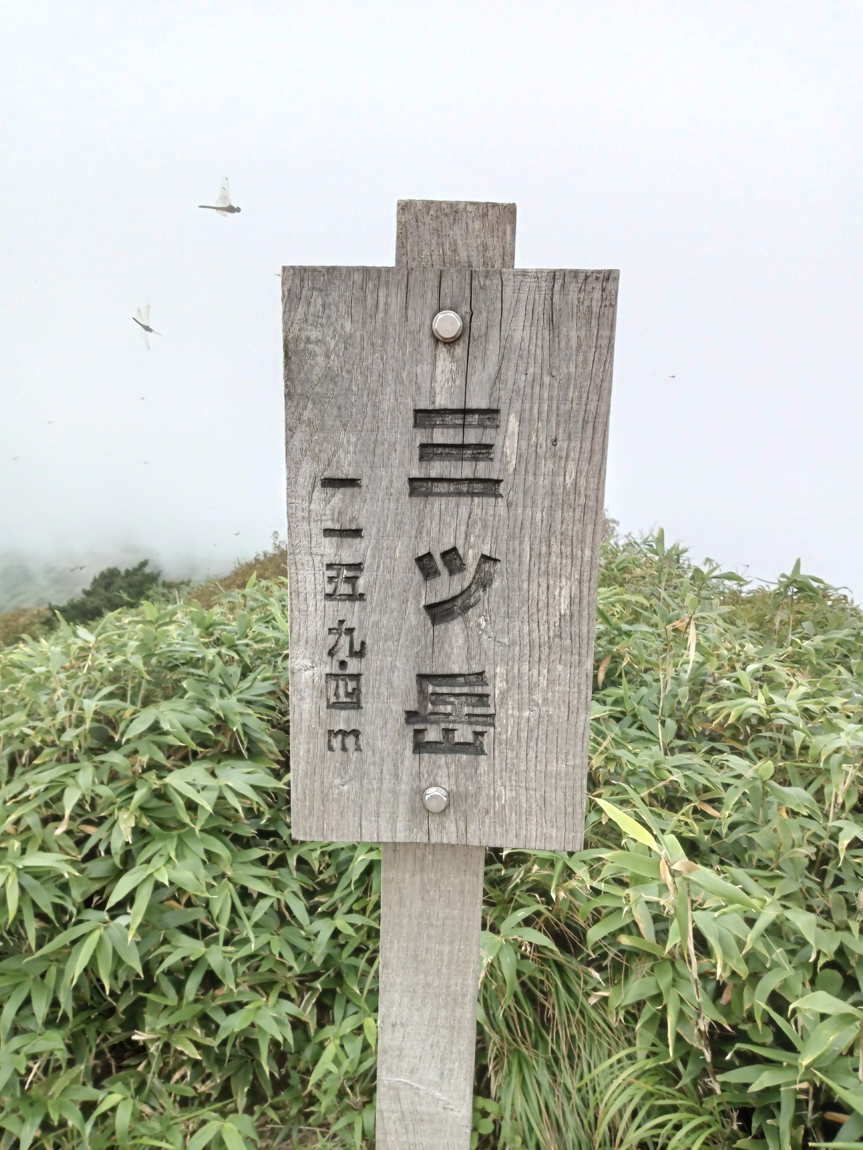 試される… 大駒ヶ岳・三ッ岳(戸来岳) / む～さん♪さんの三ッ岳（戸来岳）・十和田山・十和利山の活動データ YAMAP / ヤマップ