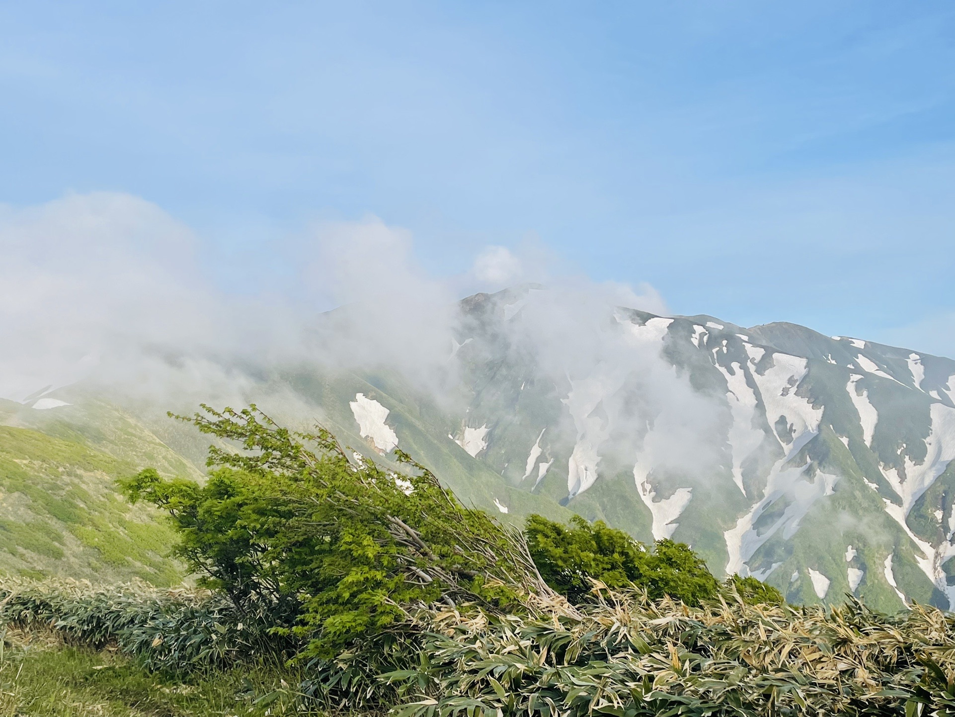 ガスが流れるの、