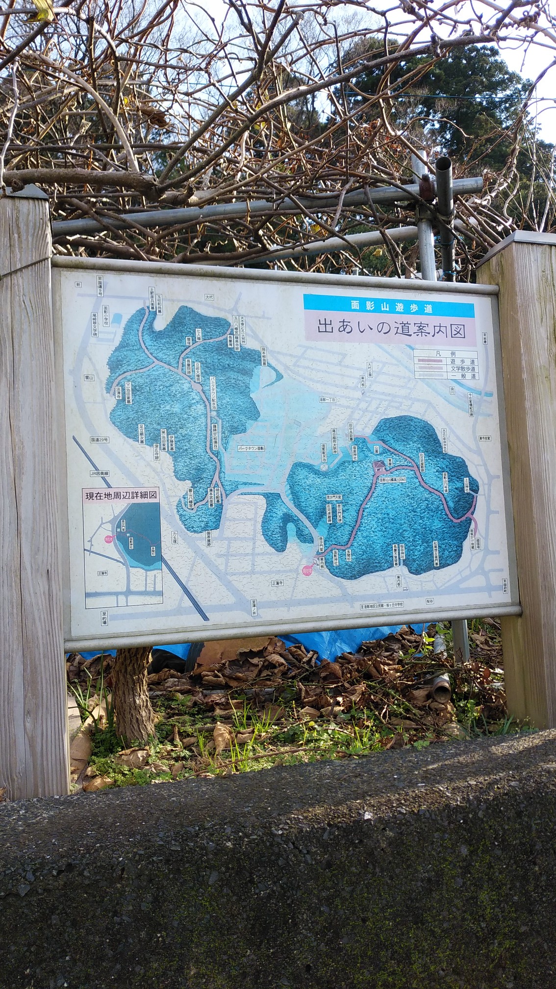 鳥取市 19 12 21面影山 ゆきぴさんの鳥取市の活動データ Yamap ヤマップ