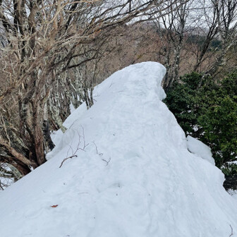 蘇武岳 こんなとこも乗り越えます💦