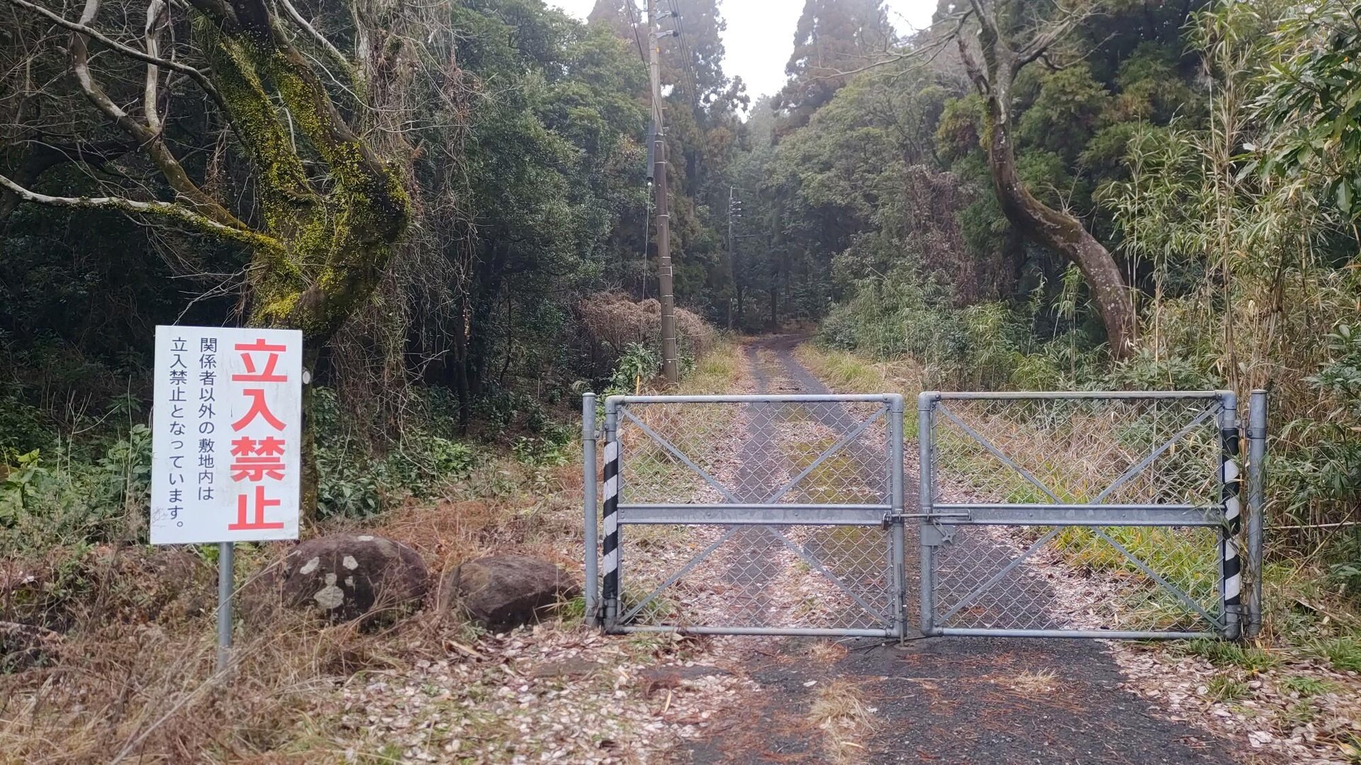 レース後、帰宅 / 薩摩さんの白銀坂・寺山の活動データ YAMAP / ヤマップ