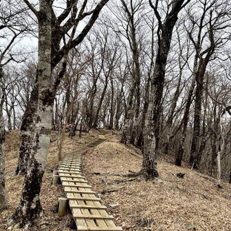 大室山・畦ヶ丸・菰釣山 険しい犬越路のあとはご褒美稜線歩き🎶