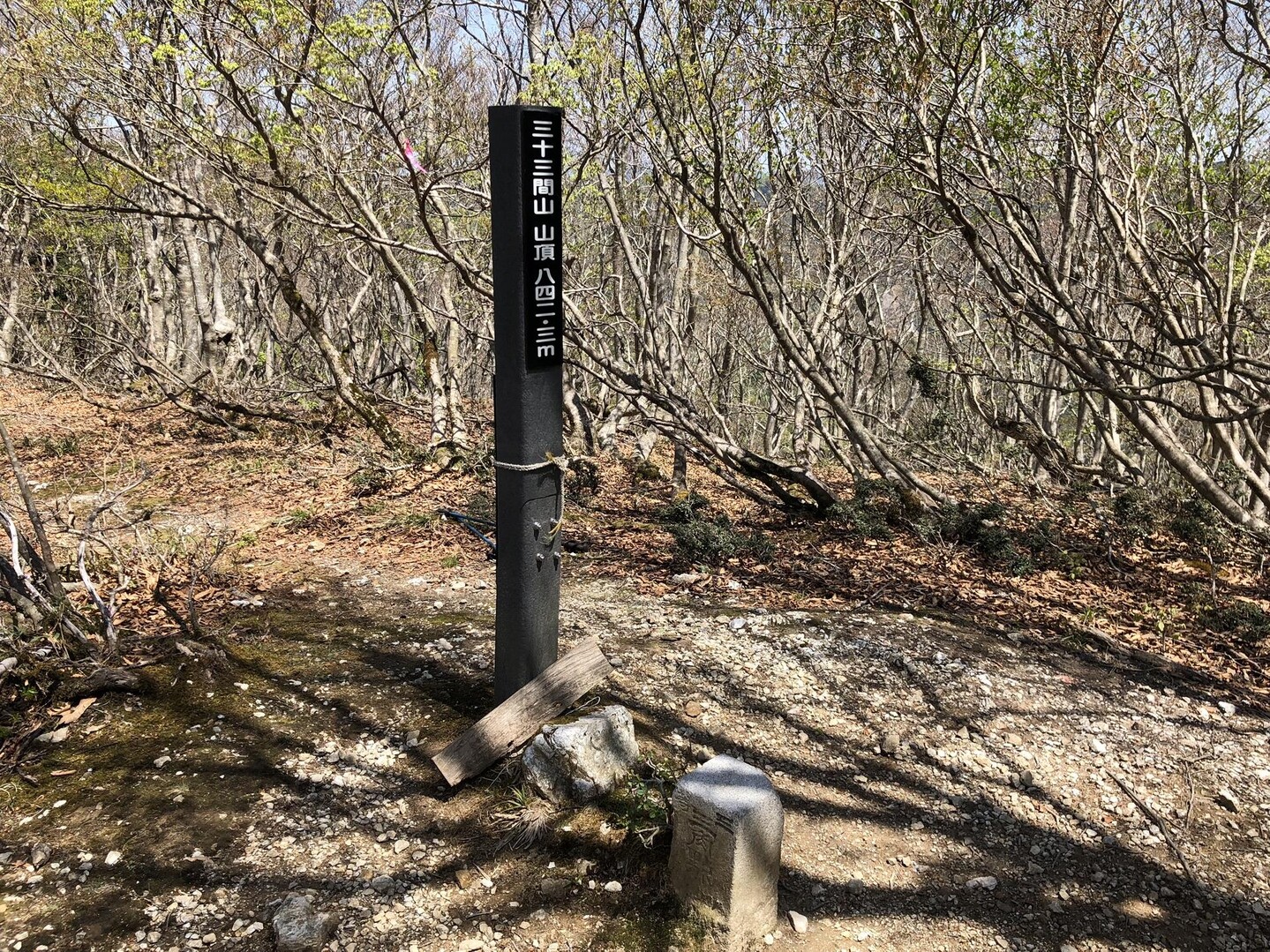 三十三間山・轆轤山 / とっくんさんの三十三間山・三重嶽・武奈ヶ嶽の活動データ YAMAP / ヤマップ
