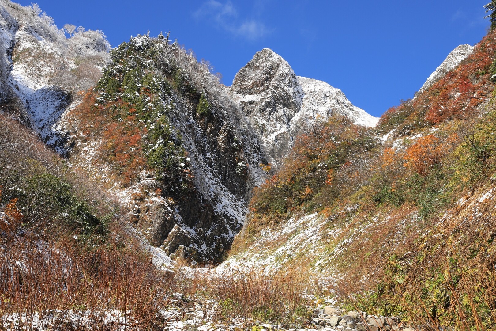 凍てつく雨飾山と萌えるブナの森 くらっしゅさんの雨飾山 大渚山 天狗原山 戸倉山の活動データ Yamap ヤマップ