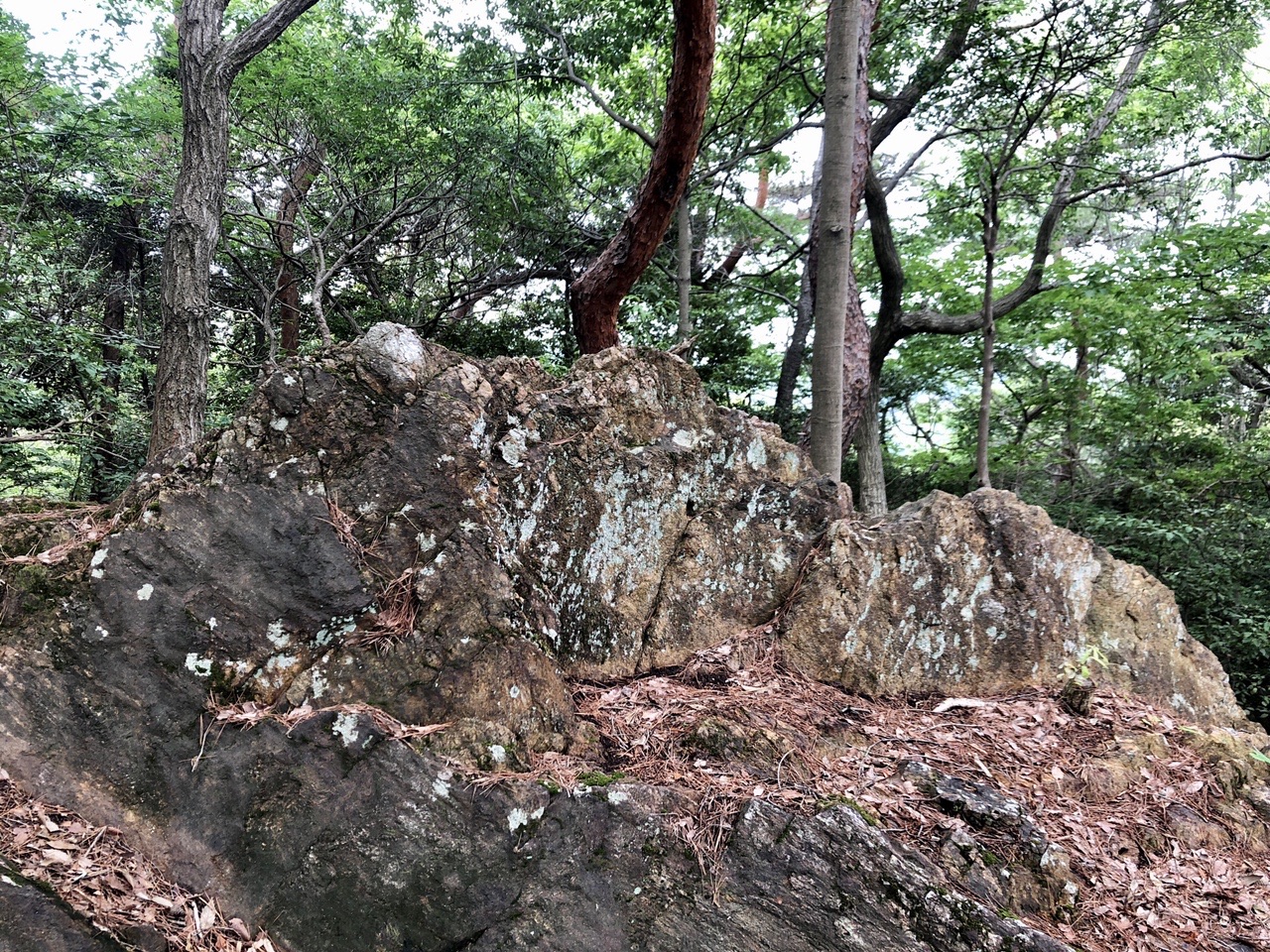 両崖山・仙人ヶ岳・石尊山 これがゴジラ岩？
