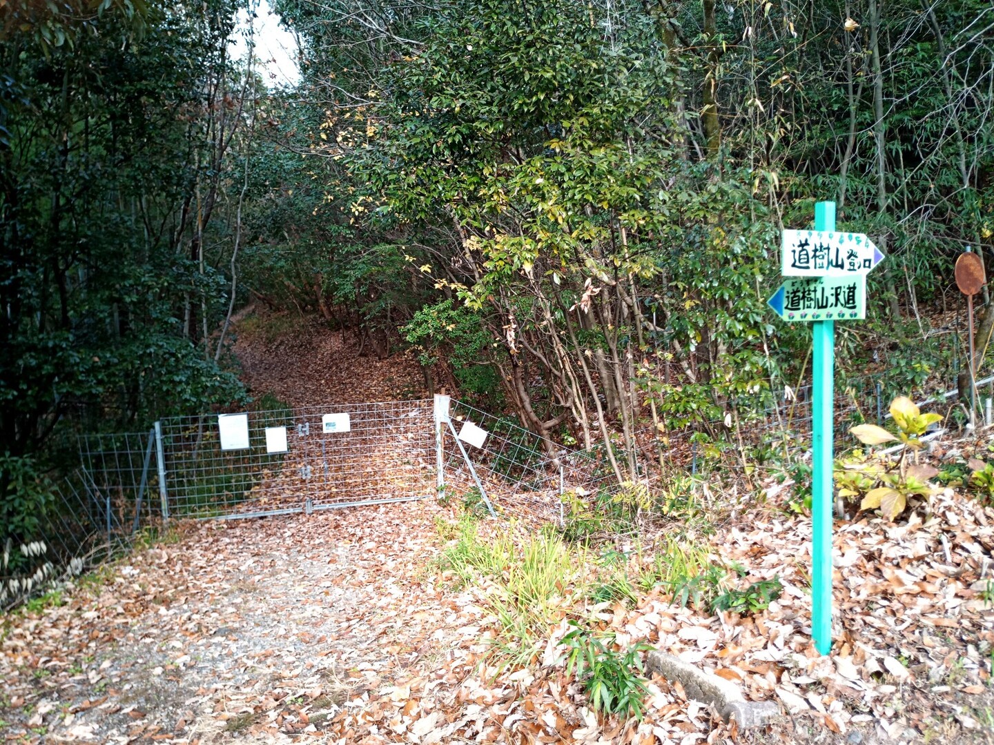 道樹山 ️定光寺20191220 / kuta44さんの春日井三山・弥勒山・大谷山・道樹山の活動データ YAMAP / ヤマップ