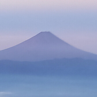 よっしー