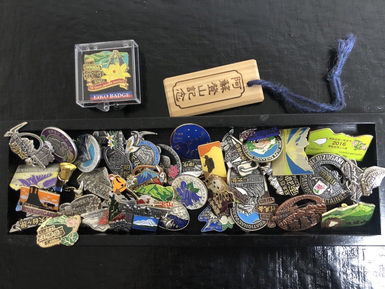 ずっと気になってた 100名山登頂記念バッチ コレクション