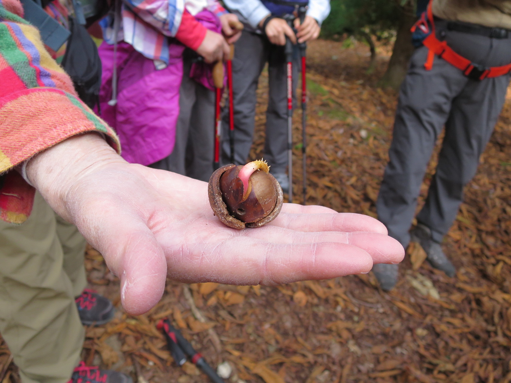 芦生 由良川源流を歩く 下谷コース Kumasanさんの美山川の活動日記 Yamap ヤマップ