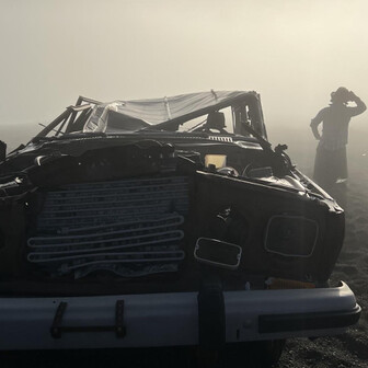 💘 森の妖精💘