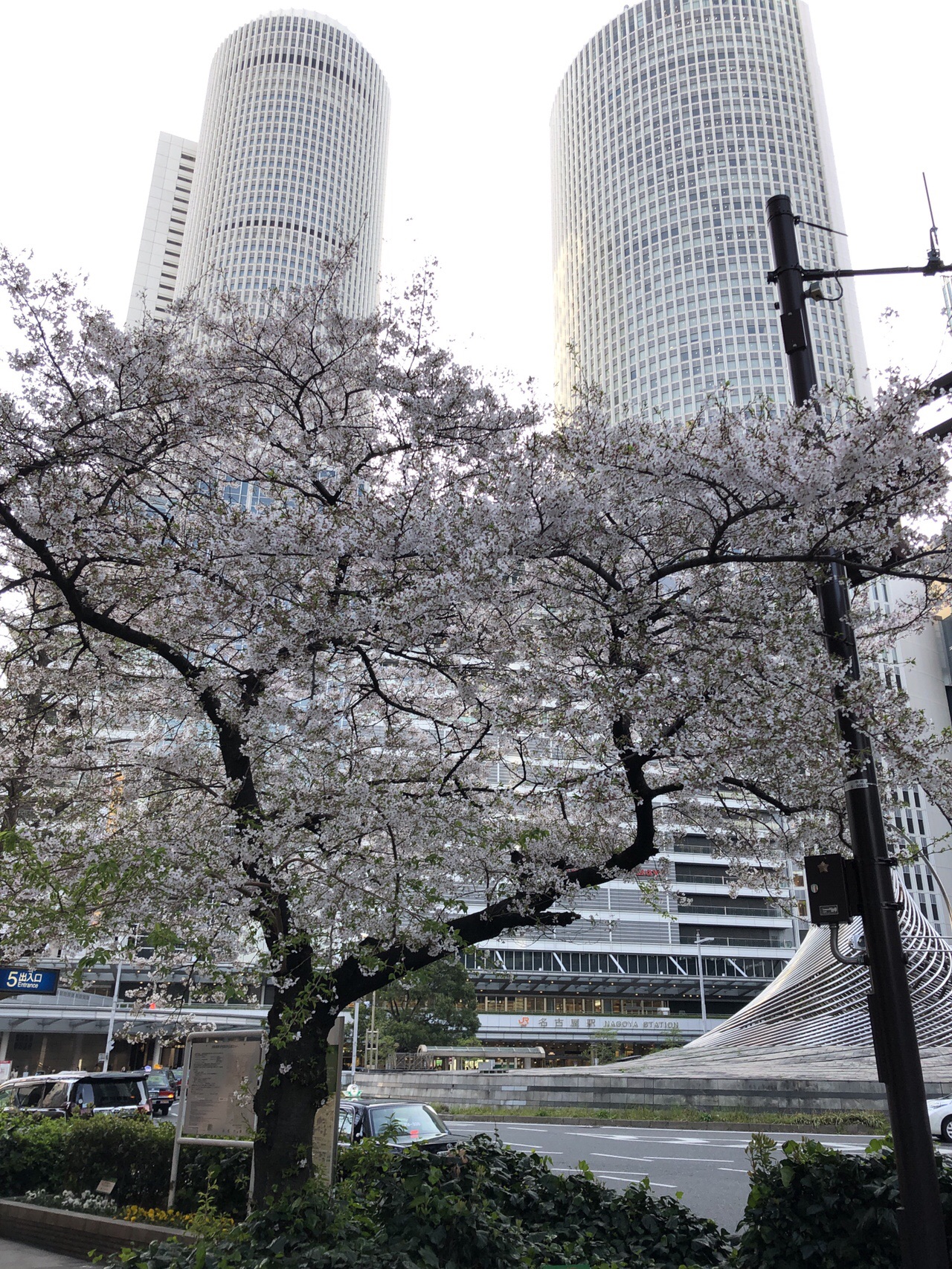 鶴舞公園 名古屋駅 19 04 09 グレープさんの名古屋市の活動日記 Yamap ヤマップ