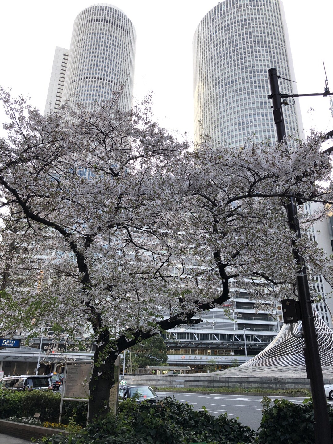 鶴舞公園 名古屋駅 19 04 09 グレープさんの名古屋市の活動日記 Yamap ヤマップ
