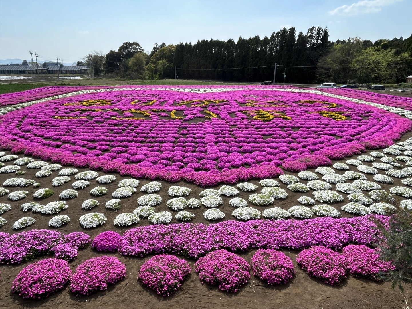 益城町役場仮庁舎の近くで、ハート型に植え... / yasuさんのモーメント YAMAP / ヤマップ