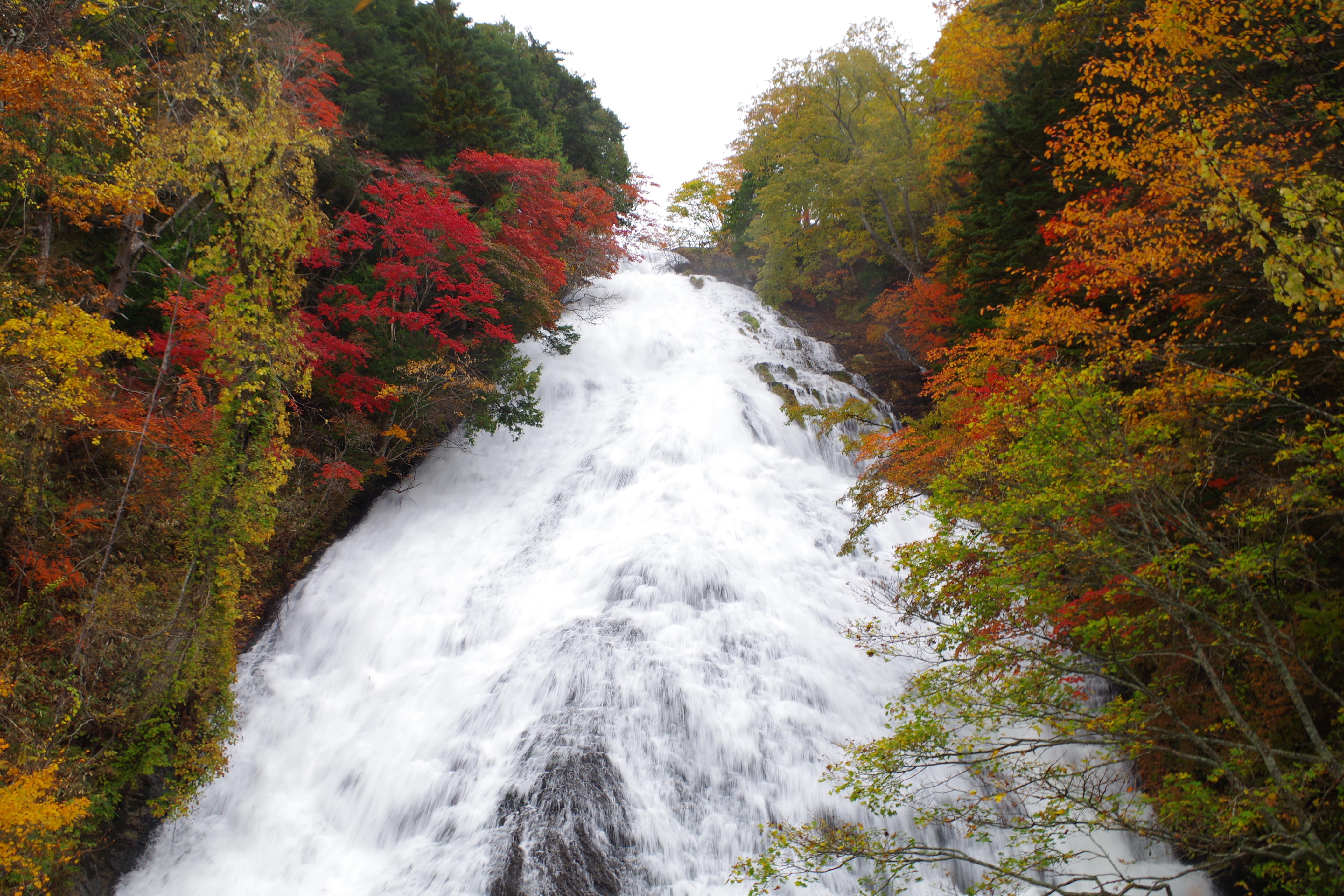 戦場ヶ原長距離ハイキング くにへいさんの日光白根山 五色山 錫ヶ岳の活動日記 Yamap ヤマップ