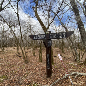空が見えるようになりました