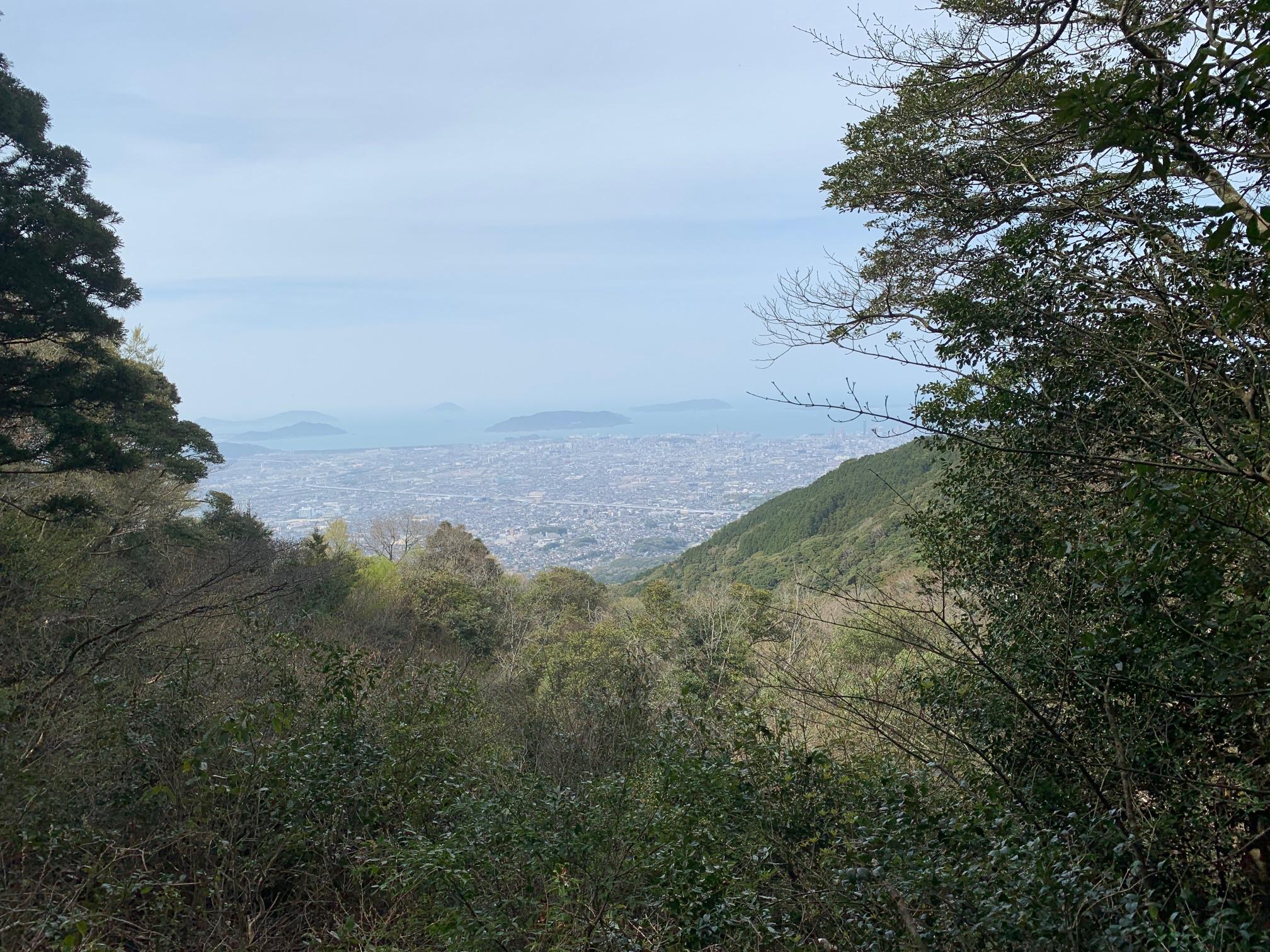 久しぶりのトレラン油山Bコース / tomobuさんの油山・荒平山・片縄山の活動データ YAMAP / ヤマップ