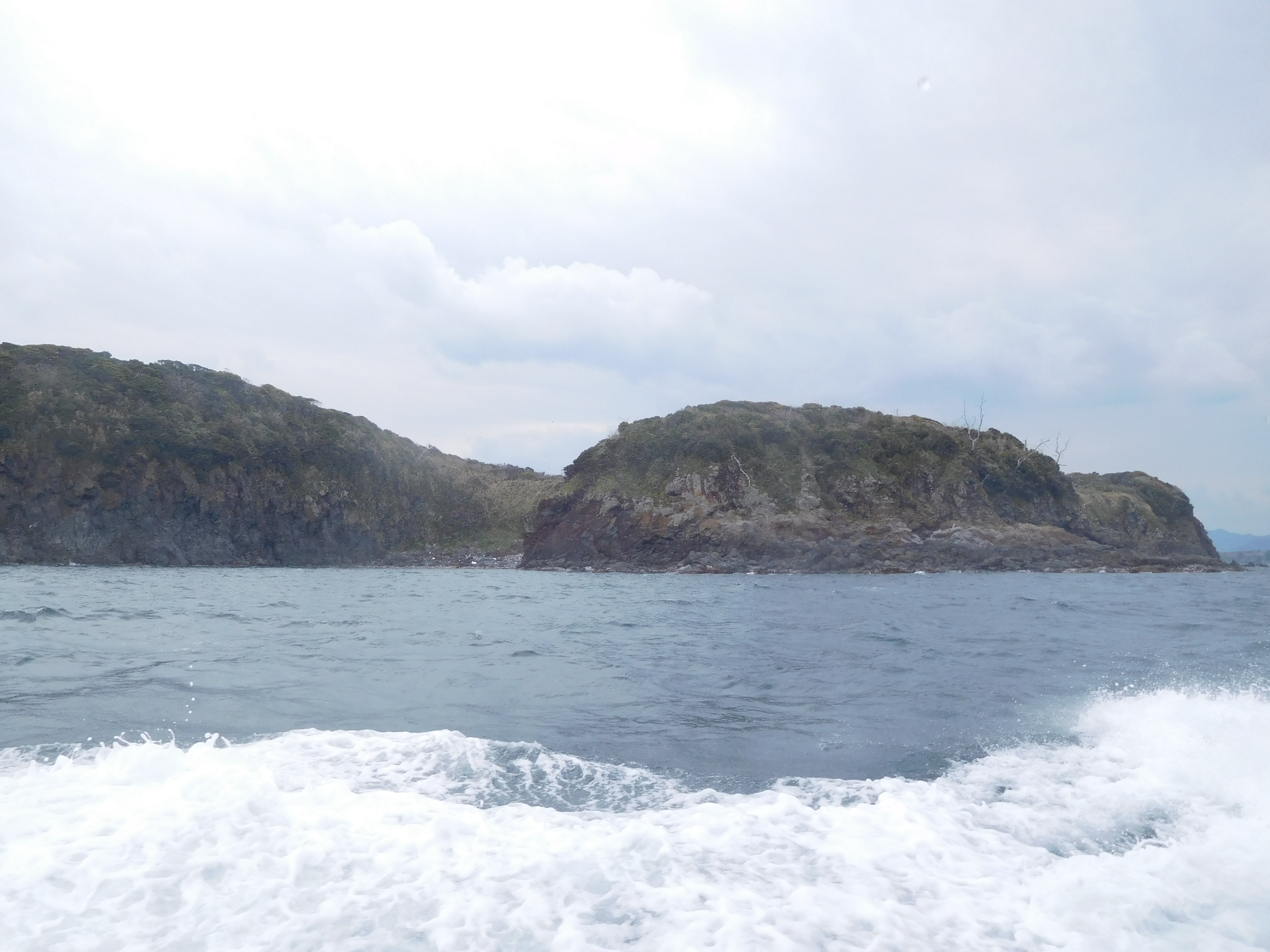 ｓｉｍａｐ かめさんは無人島を開拓できるか かめさんピースさんの萩往還その1 萩市 佐々並市 の活動日記 Yamap ヤマップ